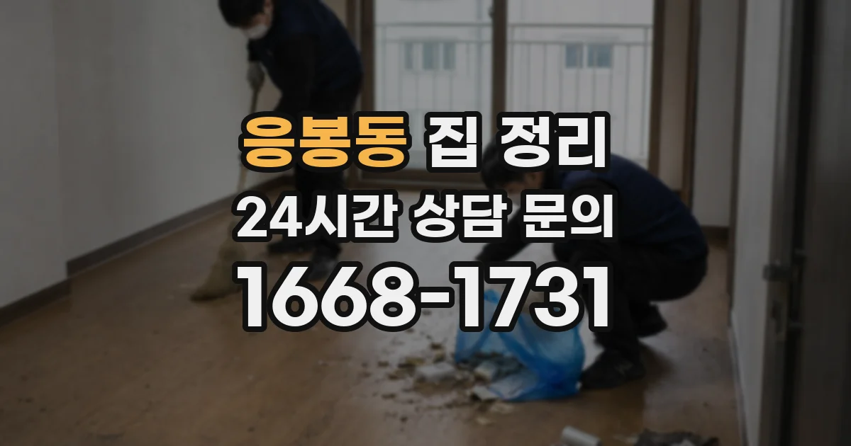 응봉동 집 정리