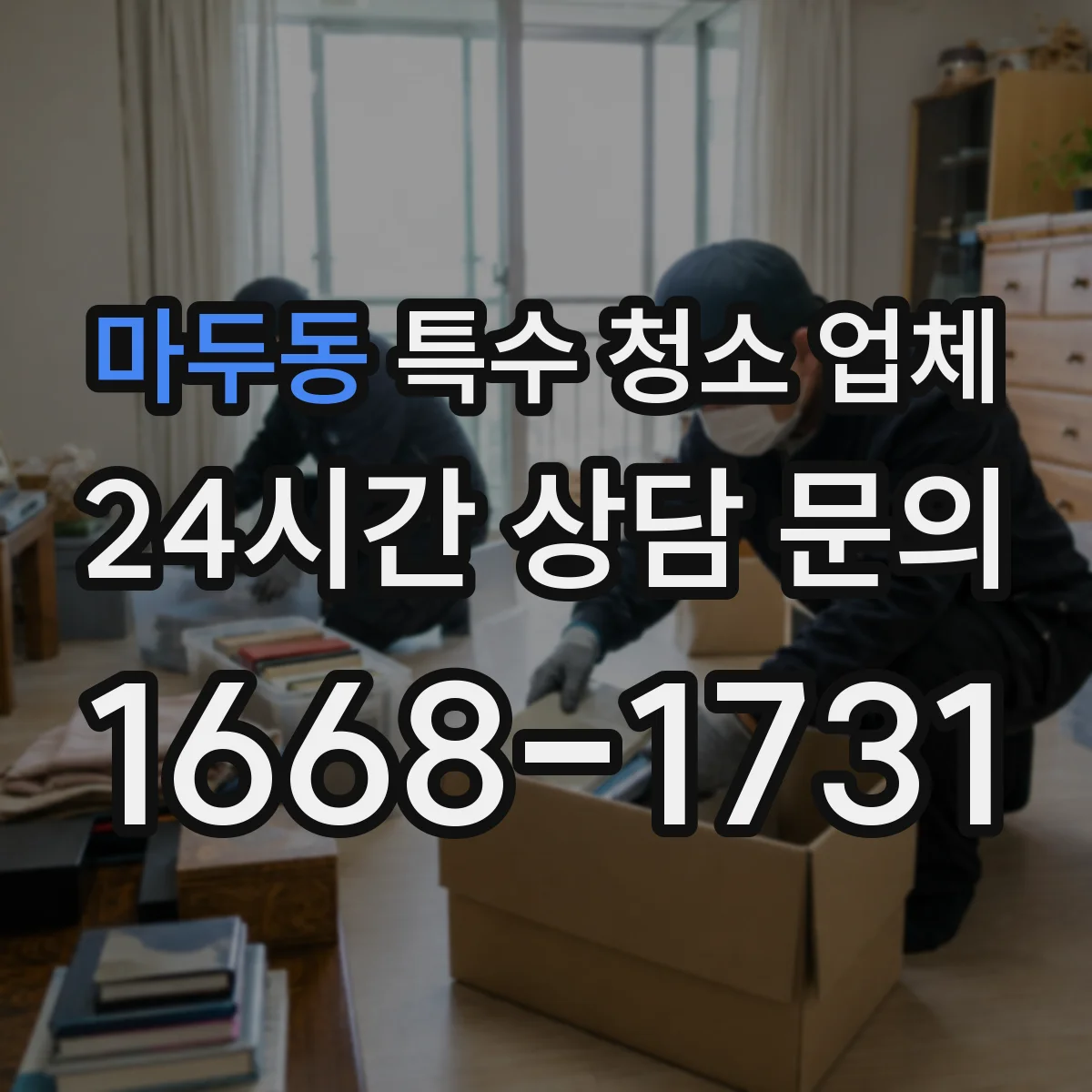 마두동 특수 청소 업체