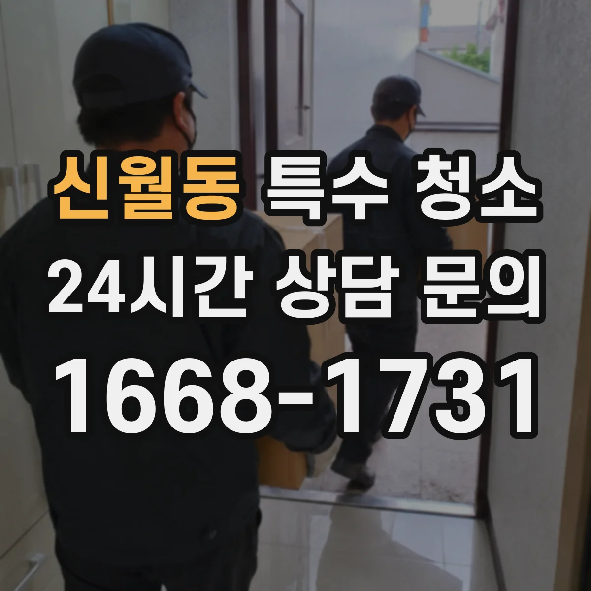 신월동 특수 청소