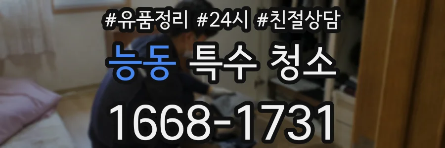 능동 특수 청소