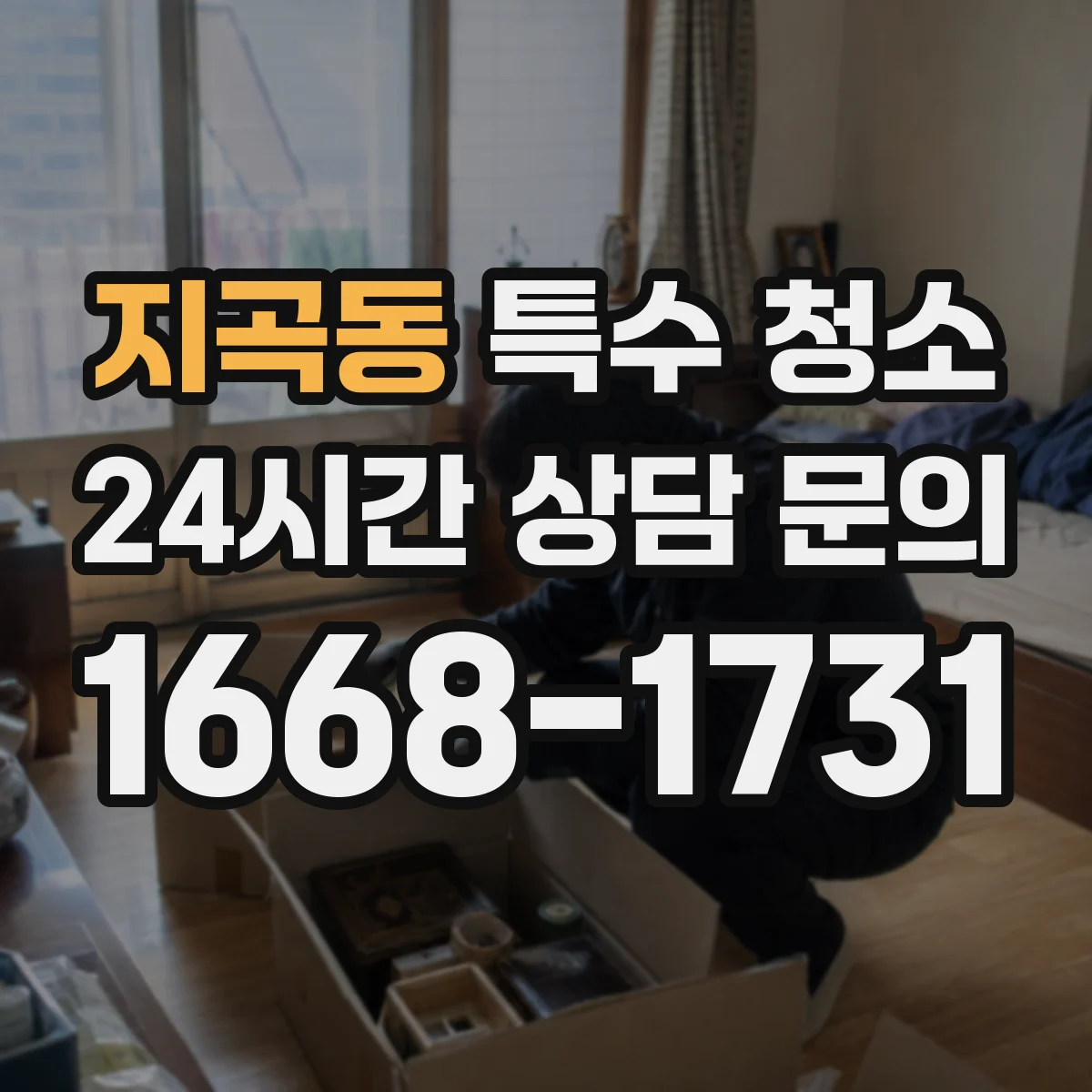 지곡동 특수 청소