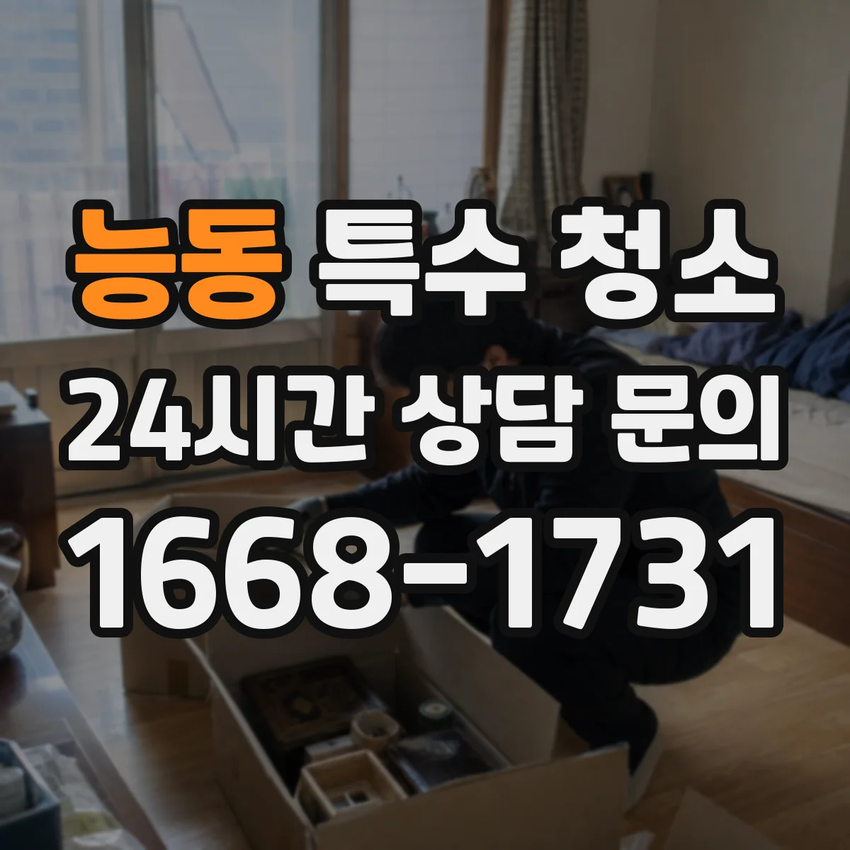 능동 특수 청소