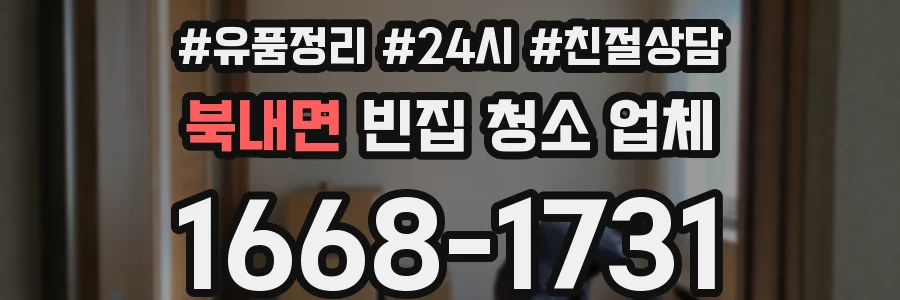 북내면 빈집 청소 업체