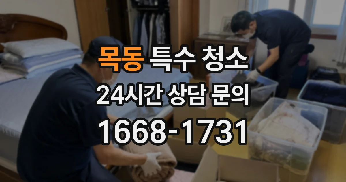 목동 특수 청소