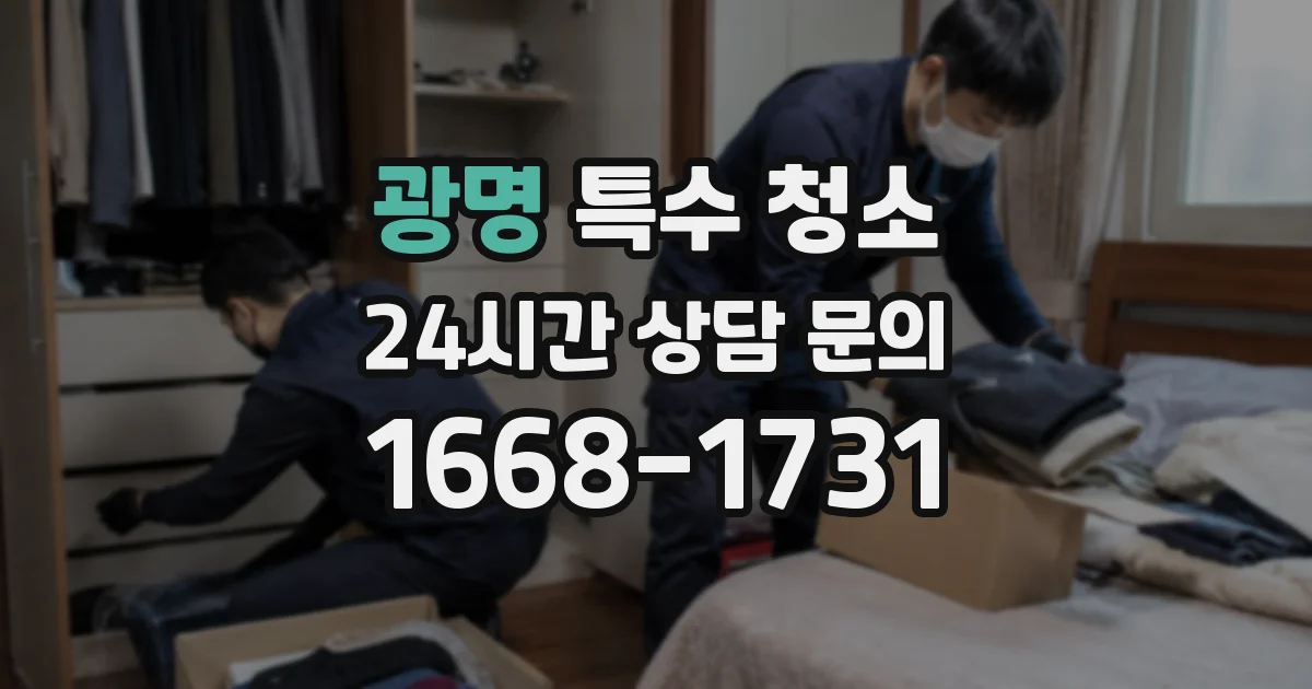 광명 특수 청소