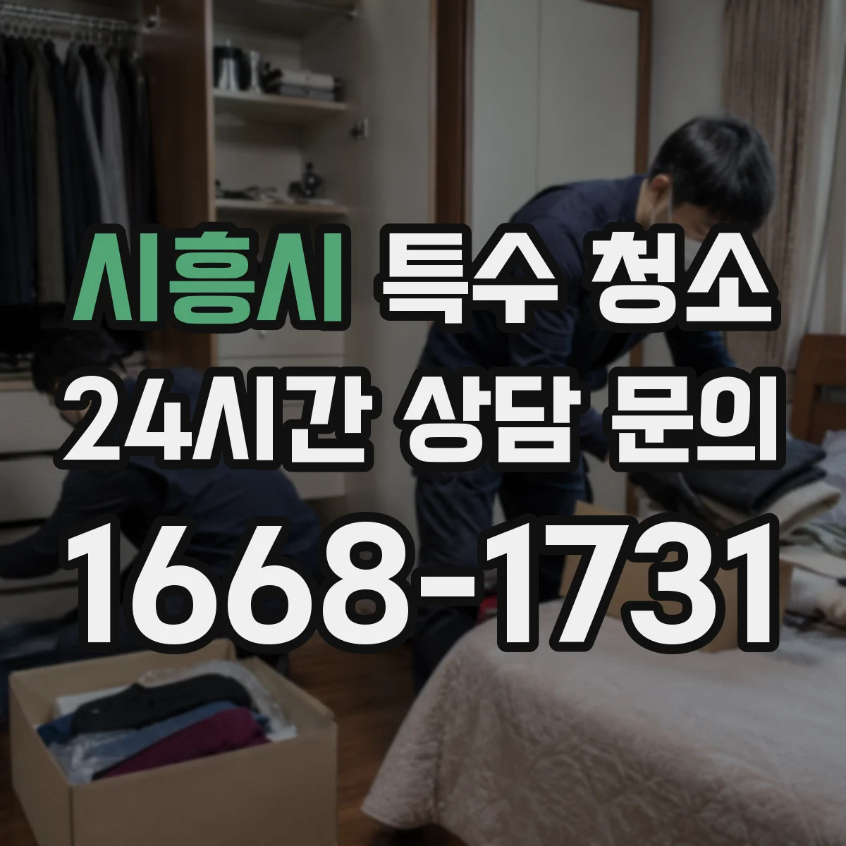 시흥시 특수 청소