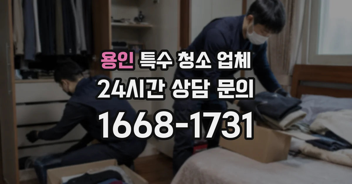 용인 특수 청소 업체
