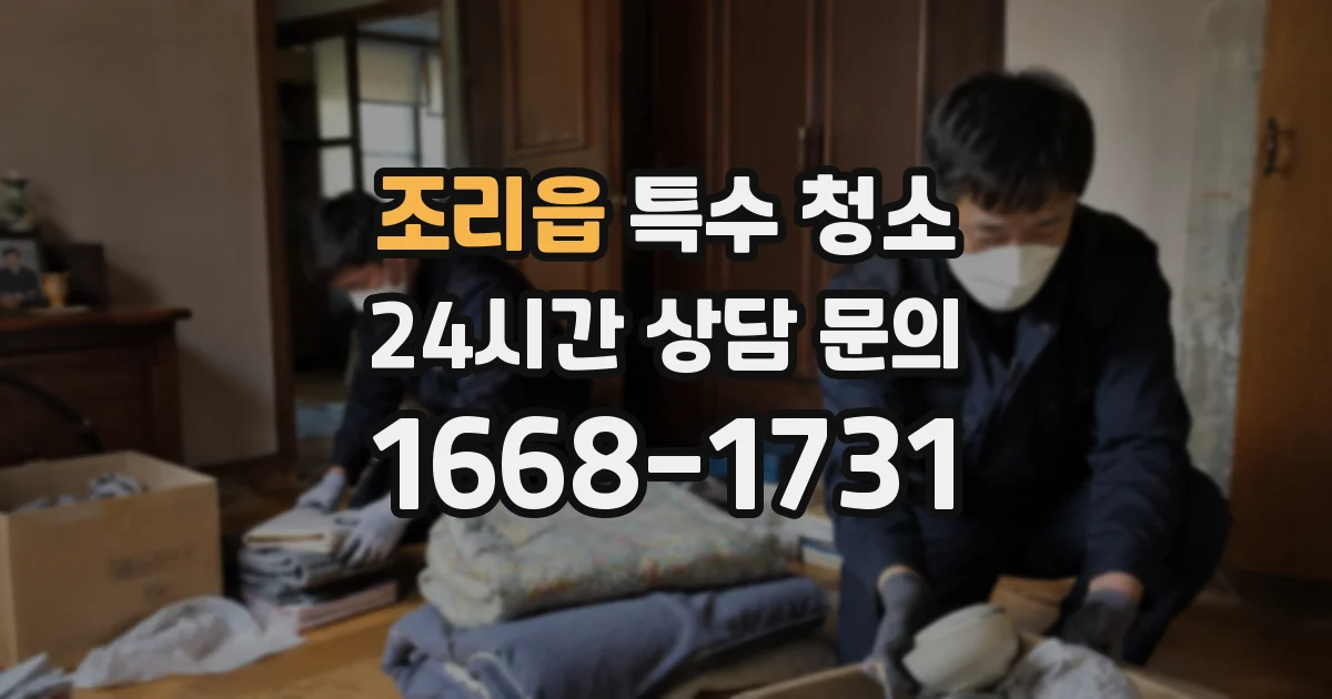 조리읍 특수 청소