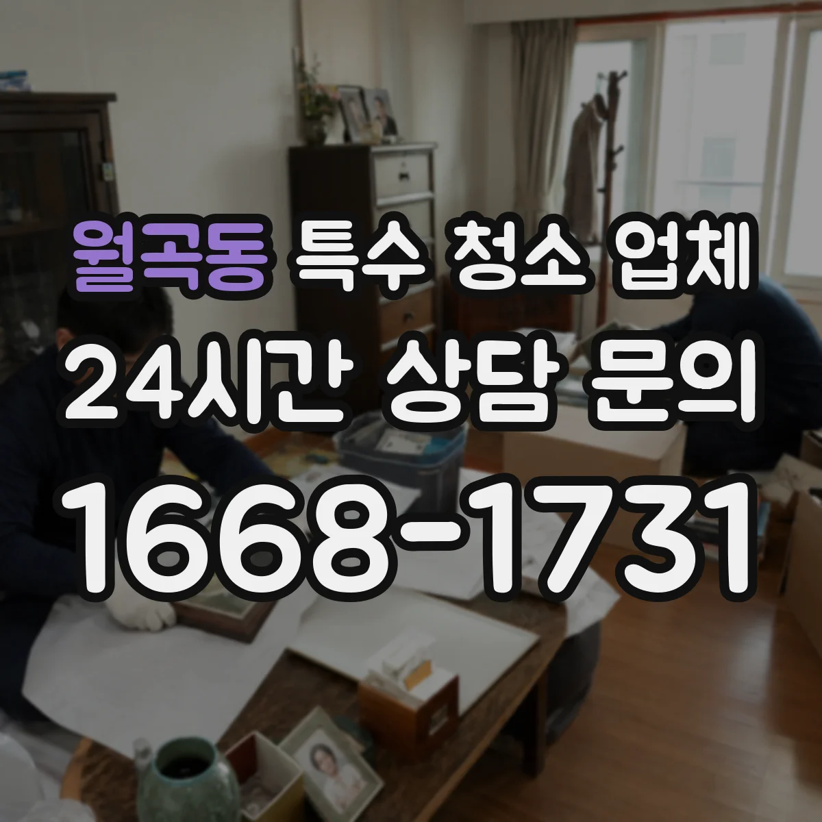 월곡동 특수 청소 업체
