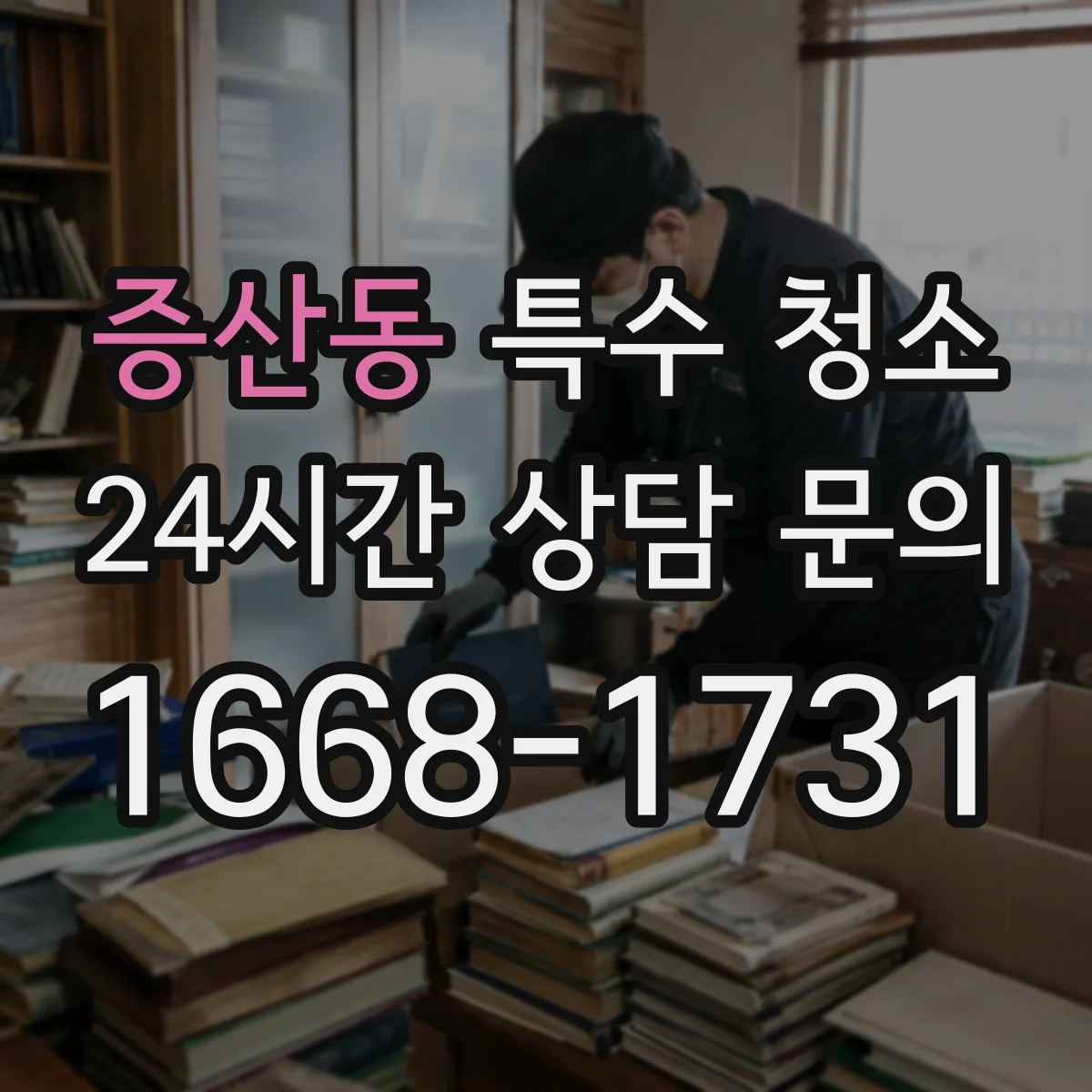 증산동 특수 청소