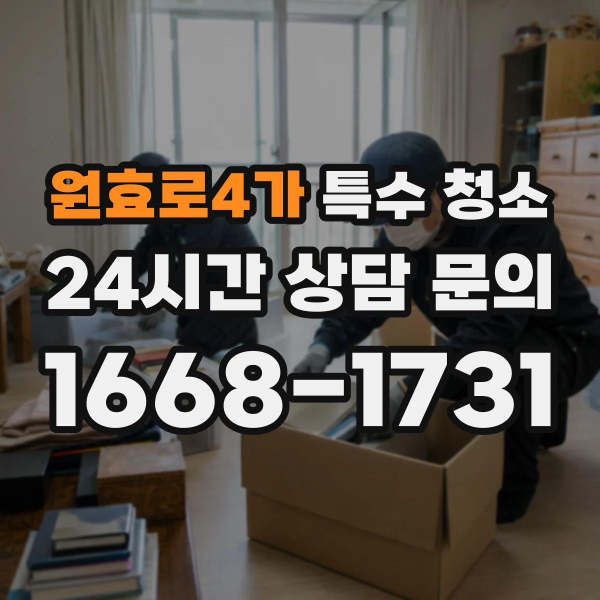 원효로4가 특수 청소