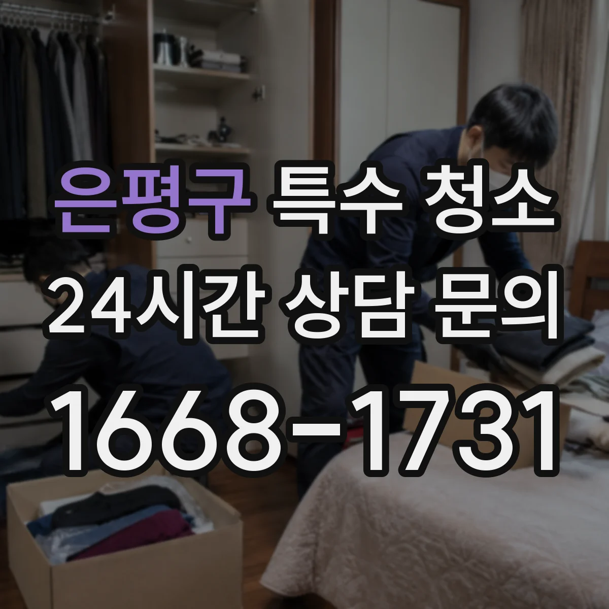은평구 특수 청소