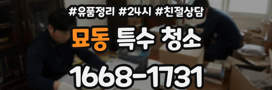 묘동 특수 청소