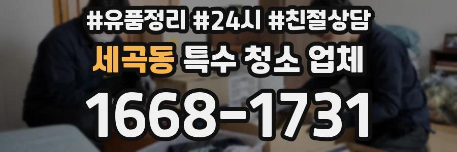 세곡동 특수 청소 업체