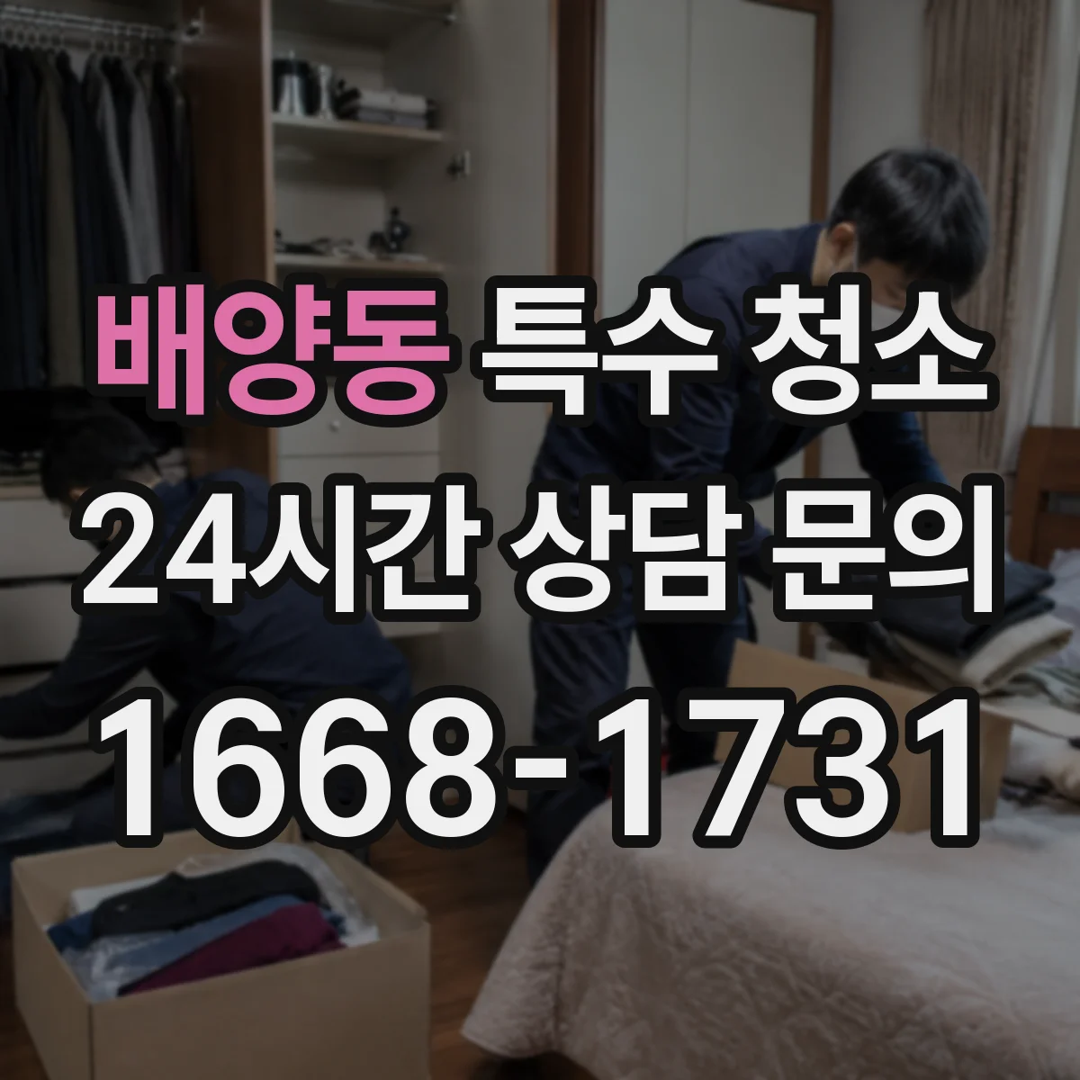 배양동 특수 청소