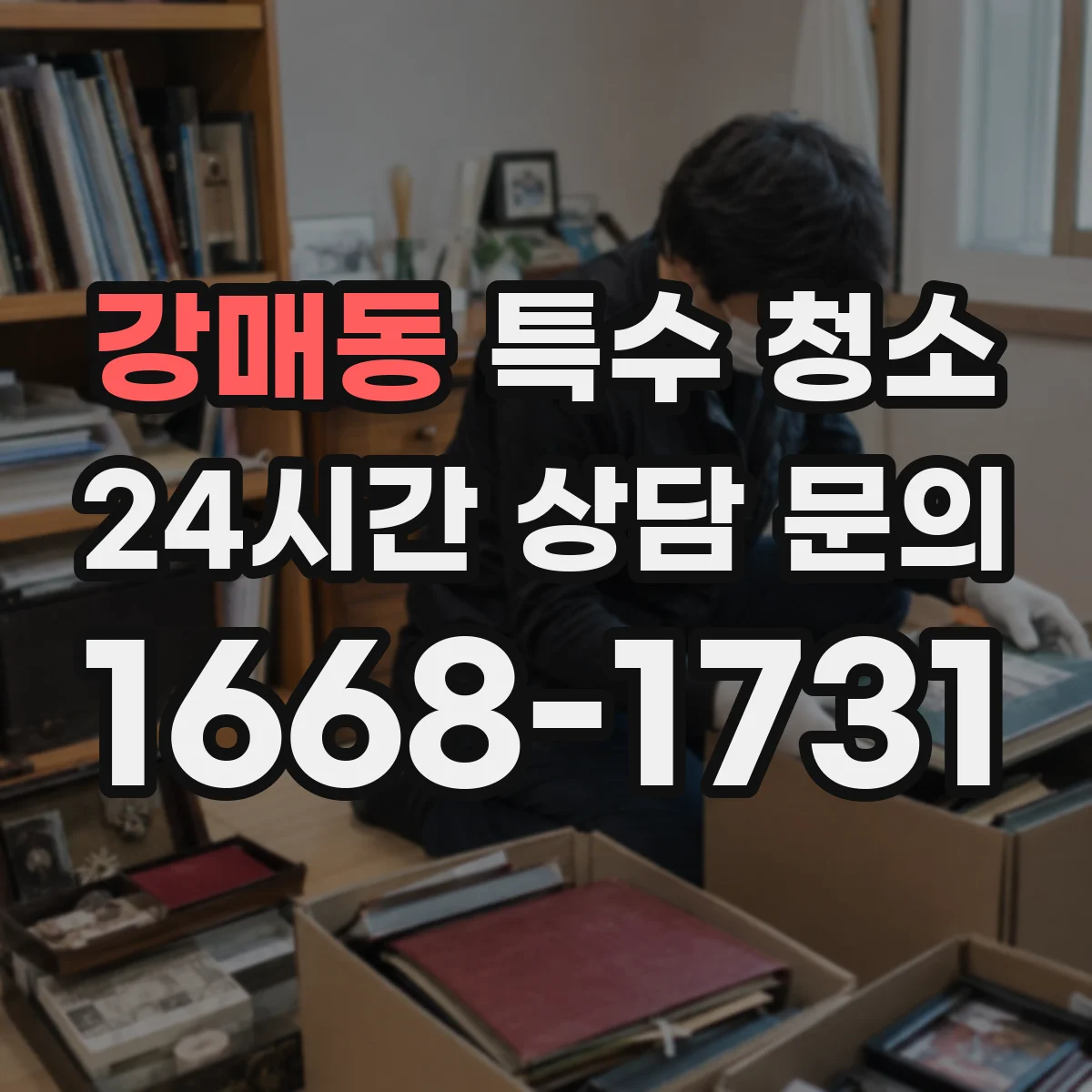 강매동 특수 청소