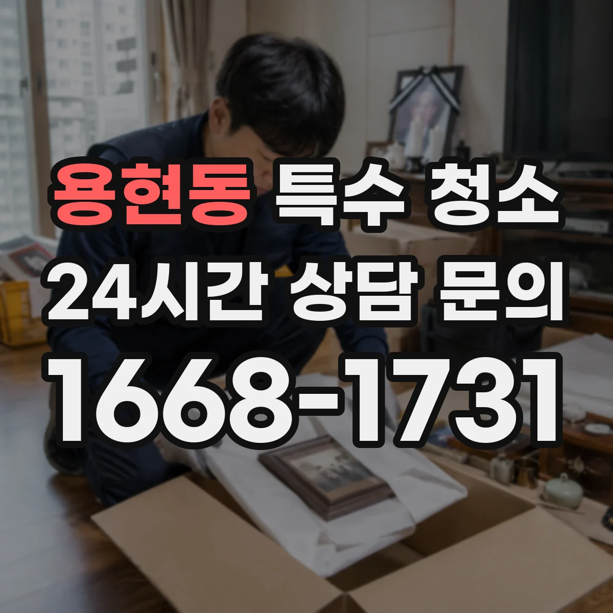 용현동 특수 청소