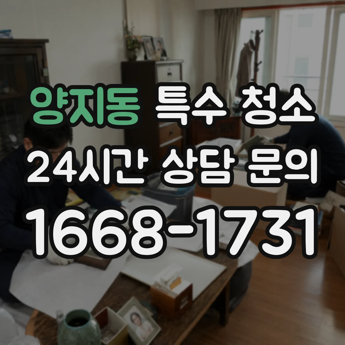 양지동 특수 청소