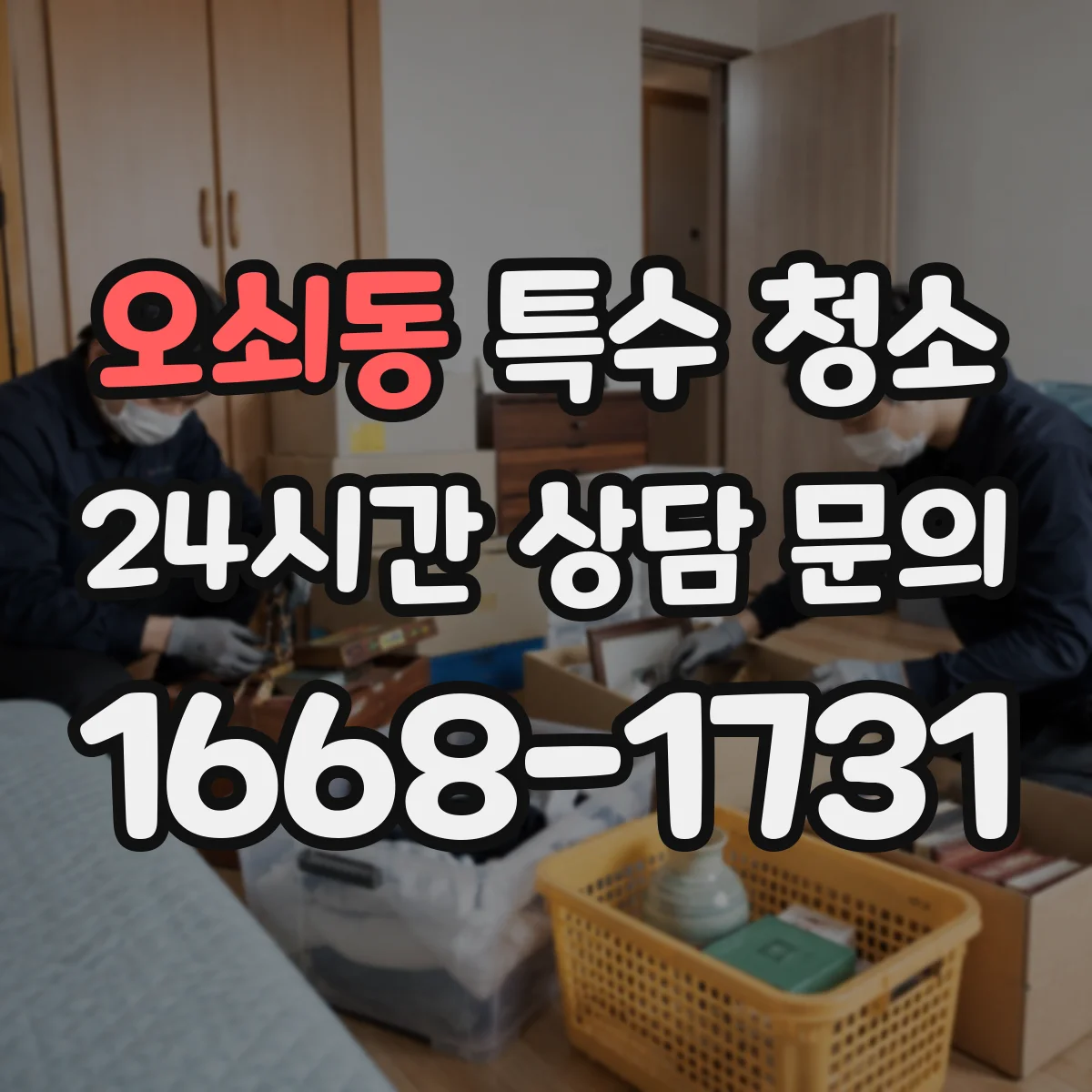 오쇠동 특수 청소