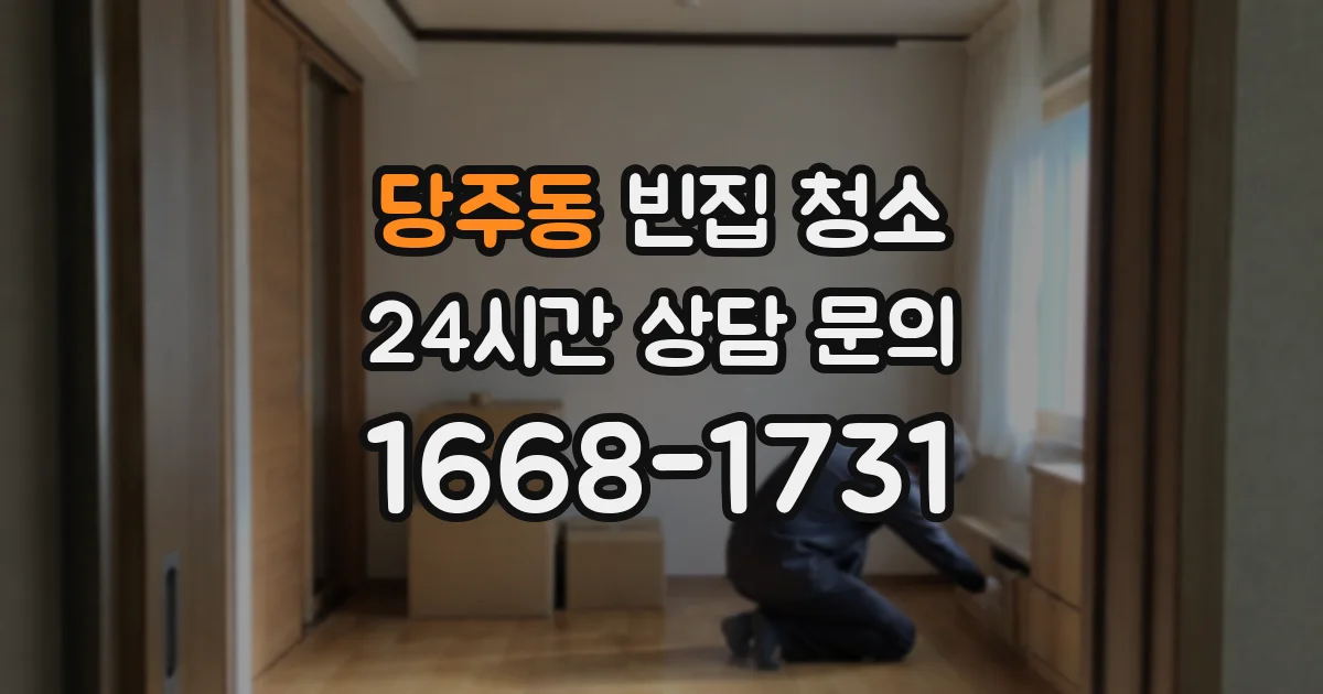 당주동 빈집 청소