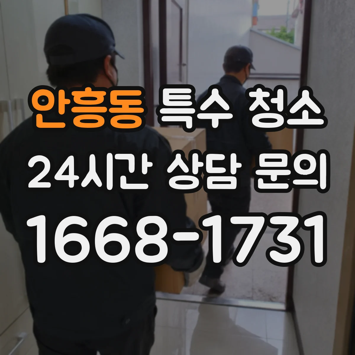 안흥동 특수 청소