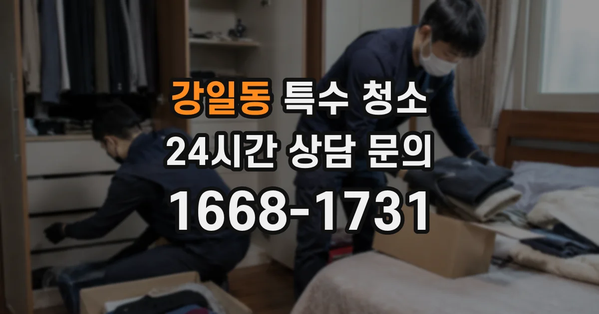 강일동 특수 청소