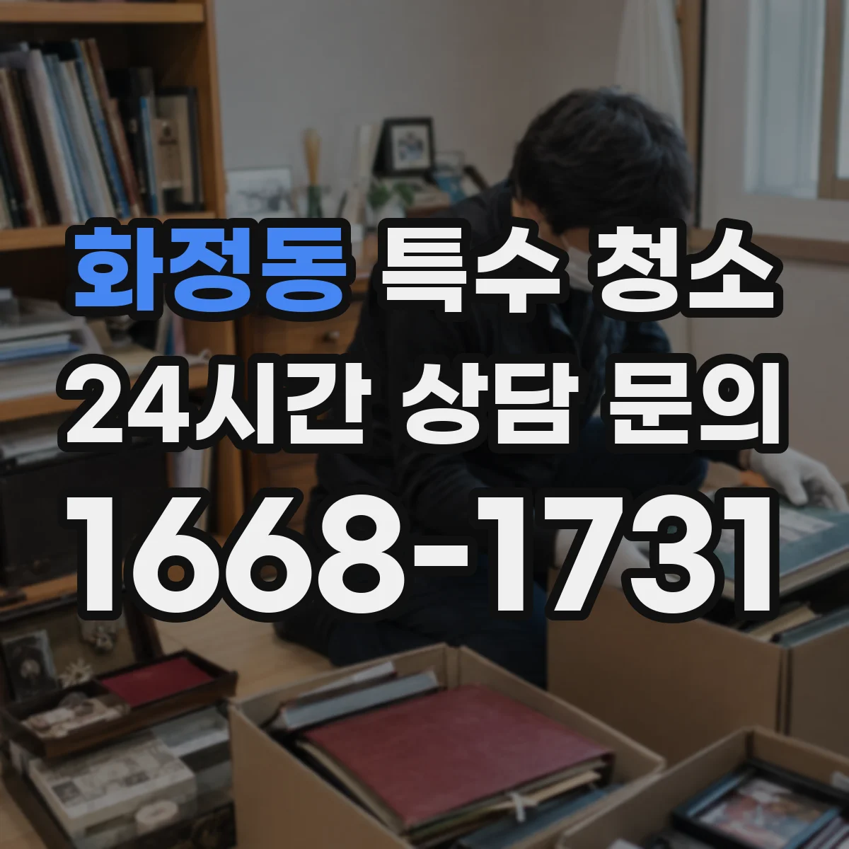 화정동 특수 청소