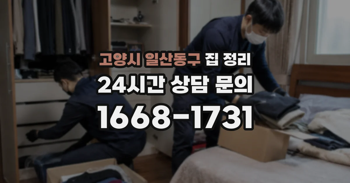 고양시 일산동구 집 정리