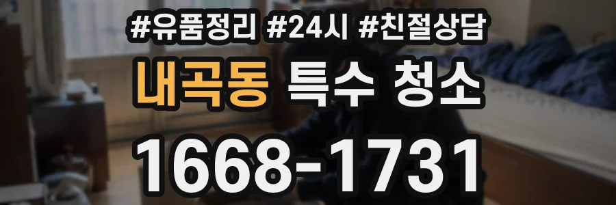 내곡동 특수 청소