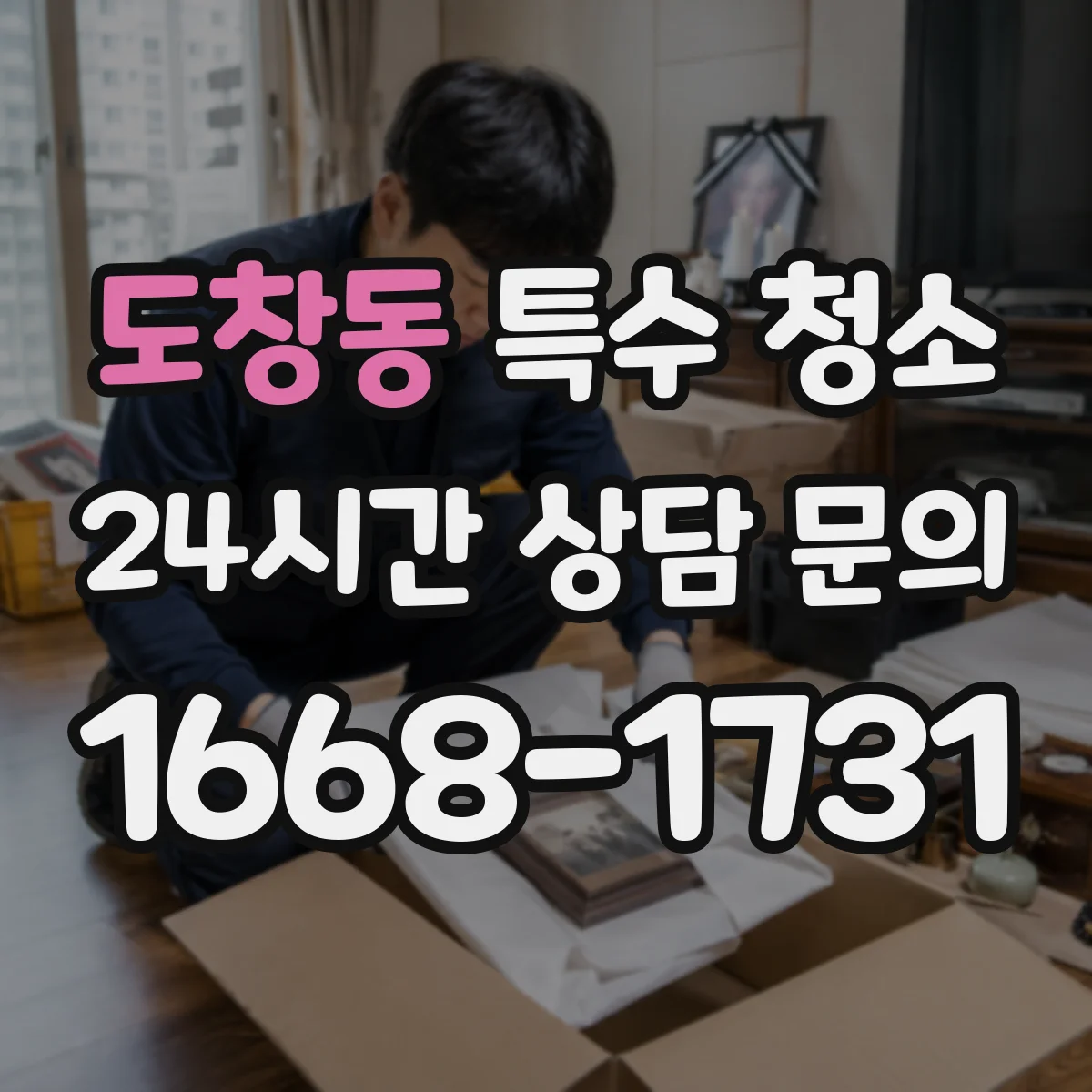 도창동 특수 청소