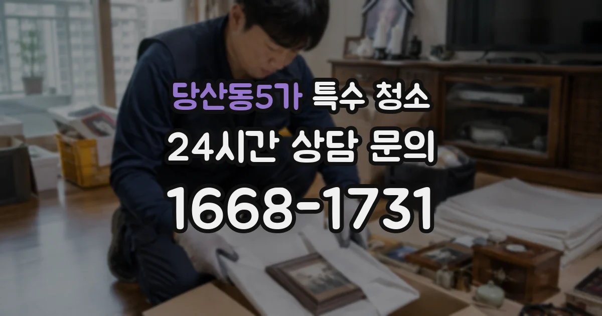 당산동5가 특수 청소
