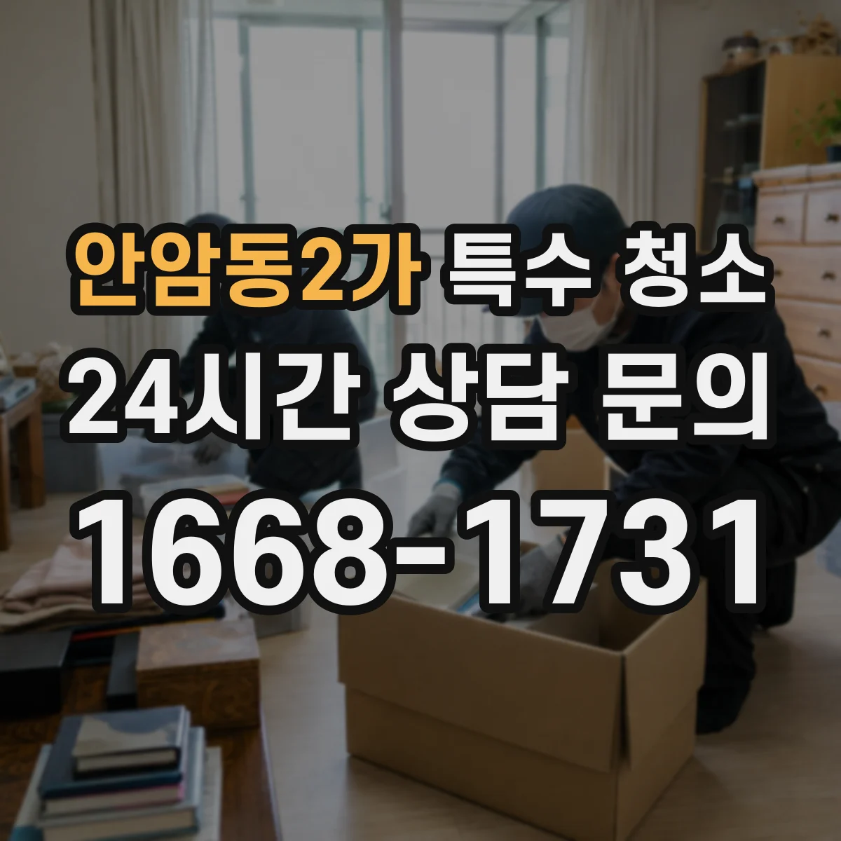 안암동2가 특수 청소