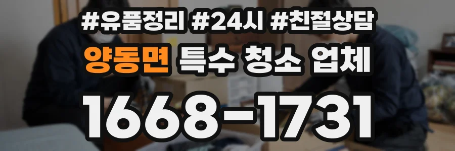 양동면 특수 청소 업체