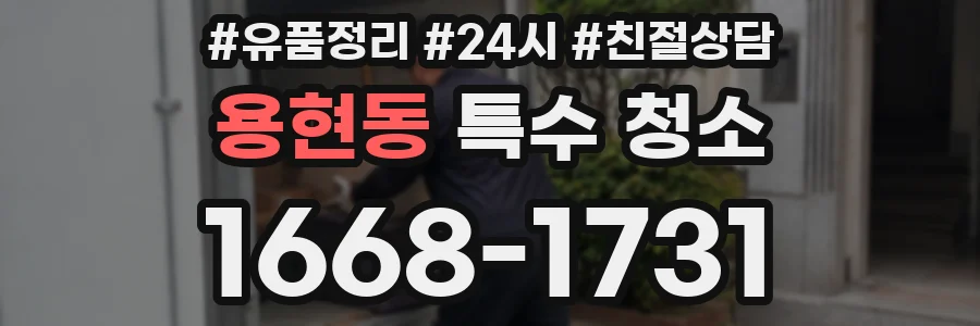 용현동 특수 청소