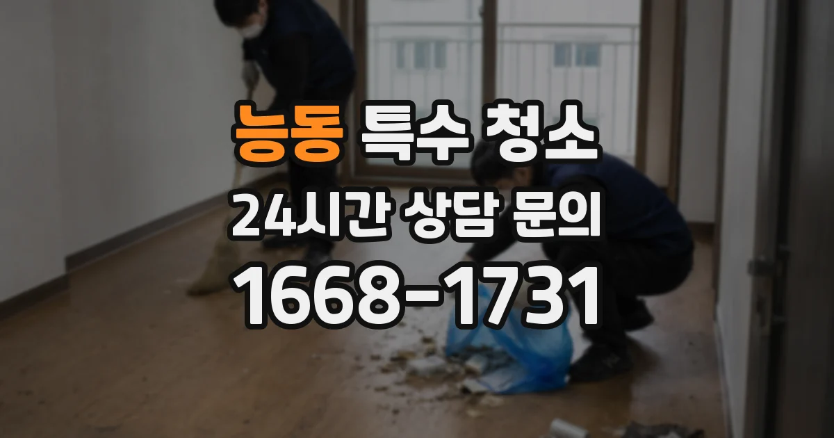 능동 특수 청소