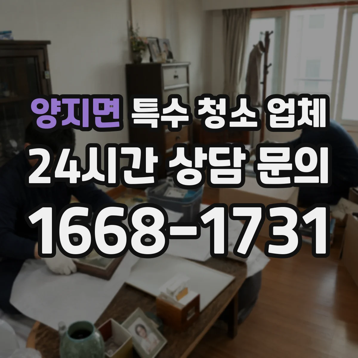 양지면 특수 청소 업체