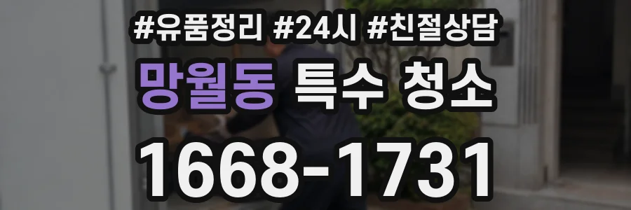 망월동 특수 청소
