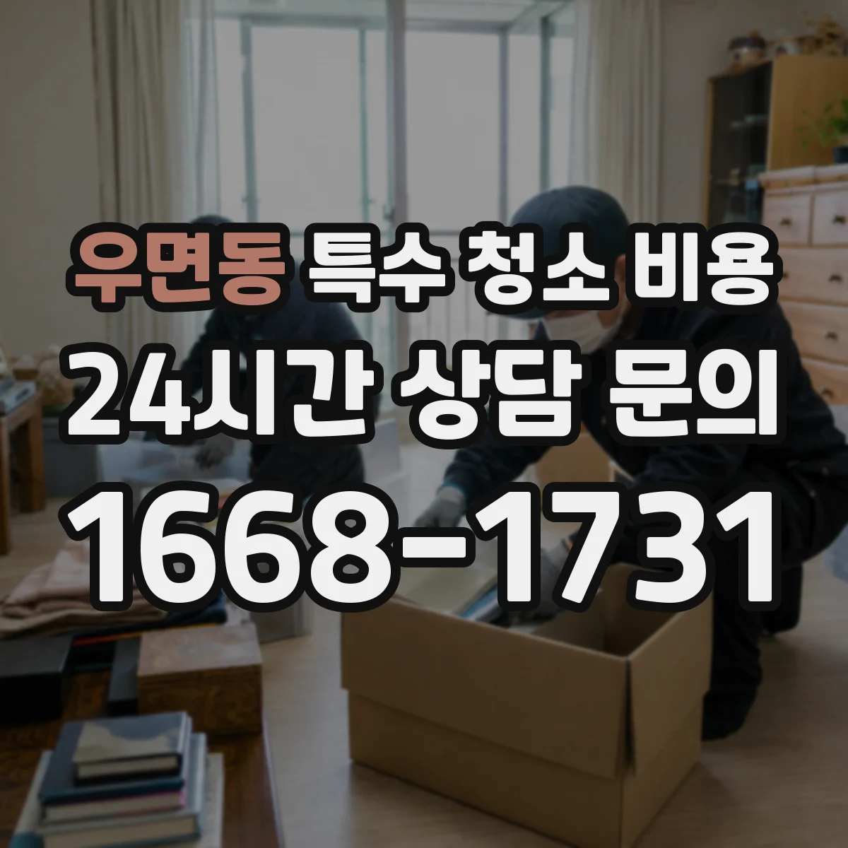 우면동 특수 청소 비용