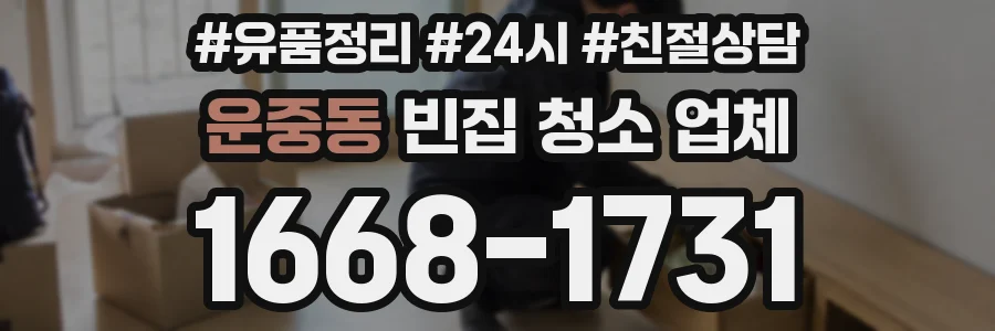운중동 빈집 청소 업체