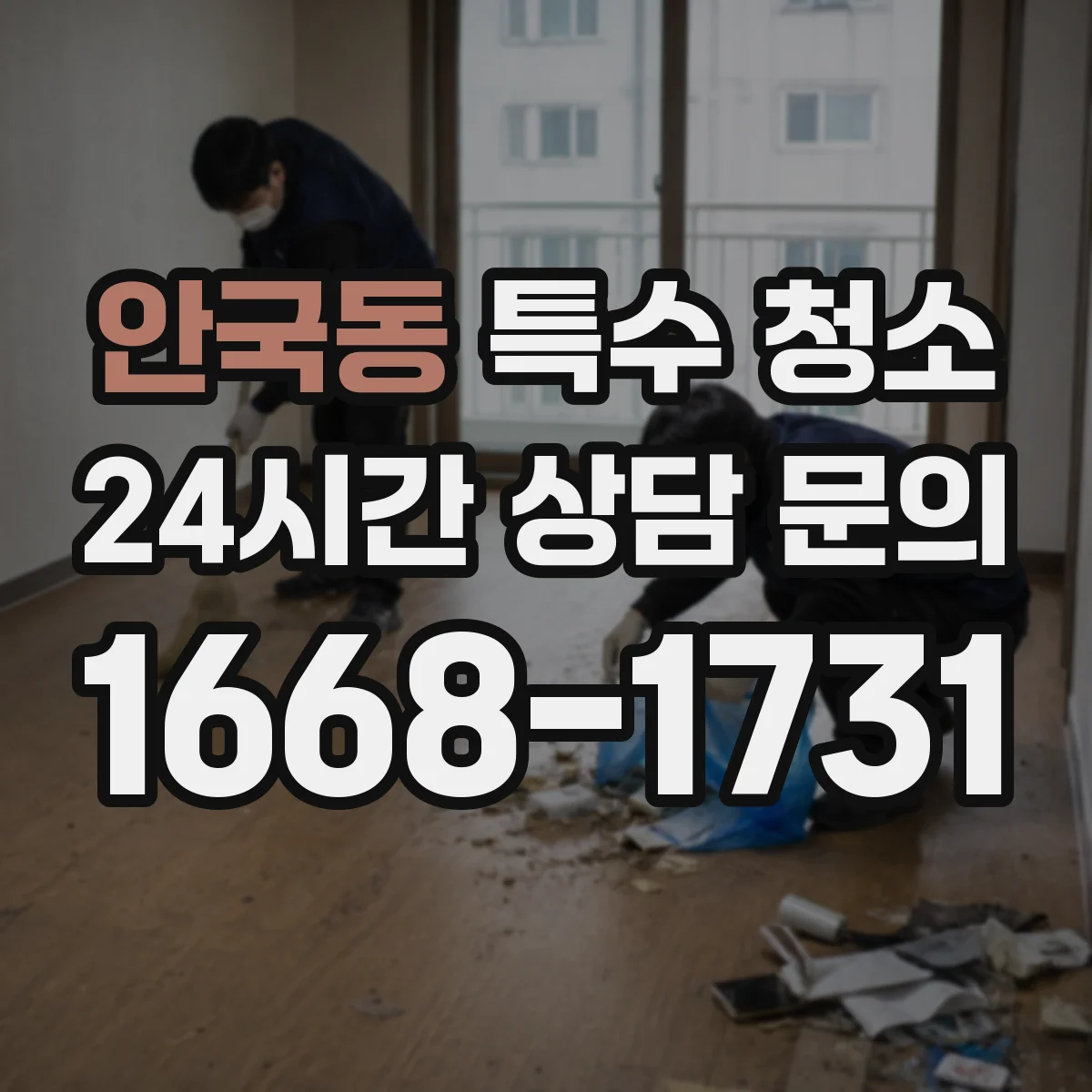 안국동 특수 청소
