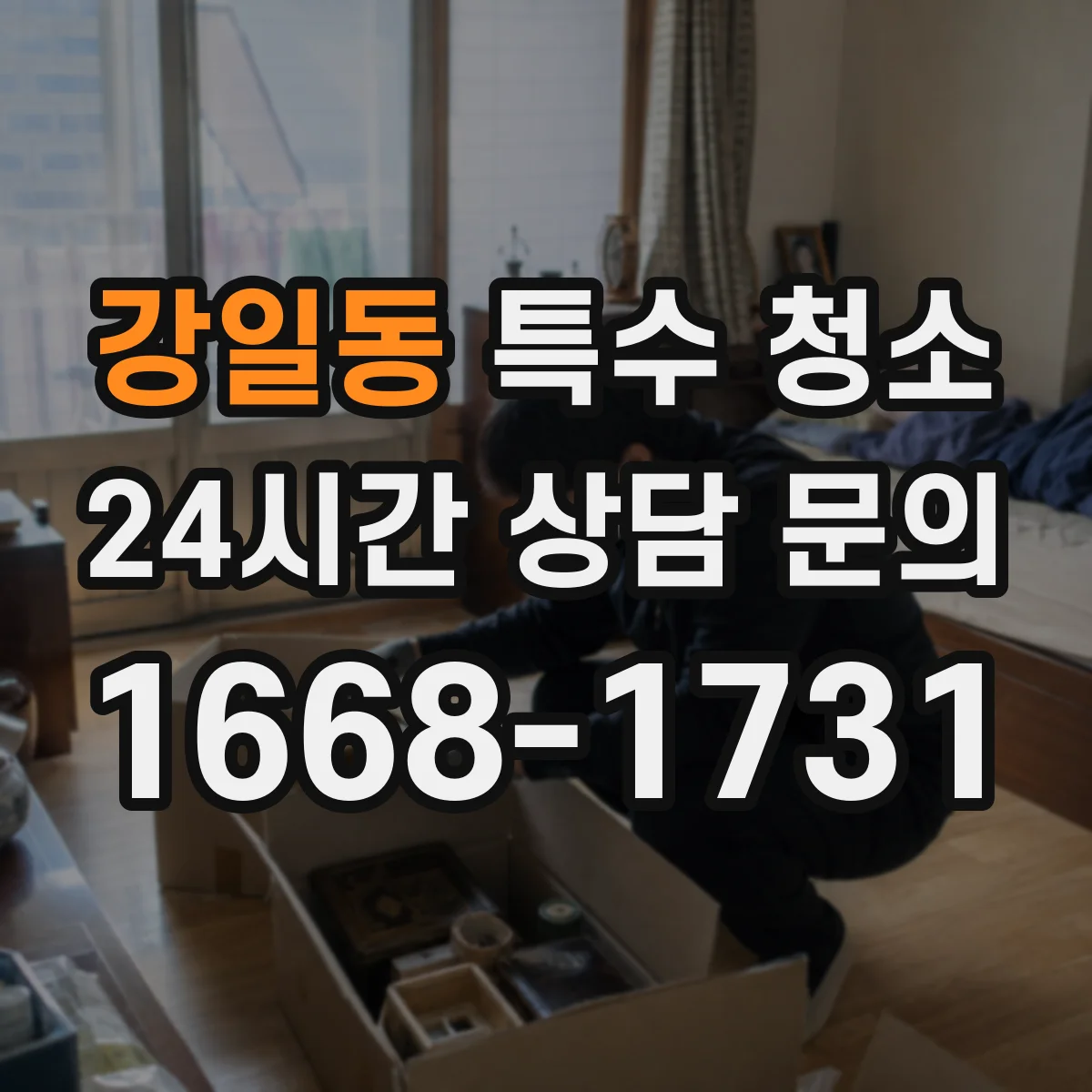 강일동 특수 청소