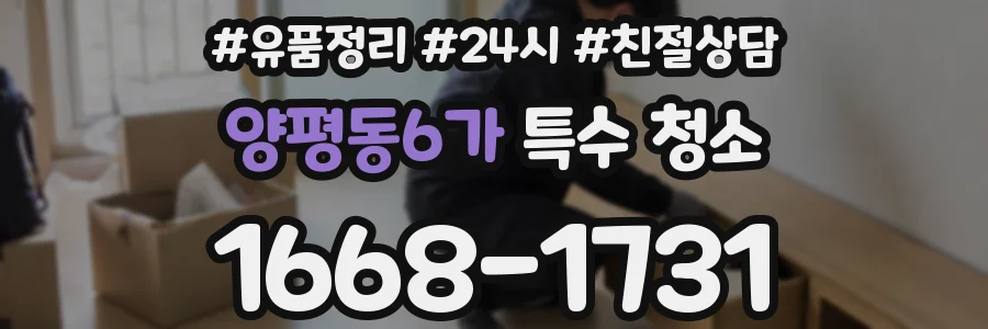 양평동6가 특수 청소