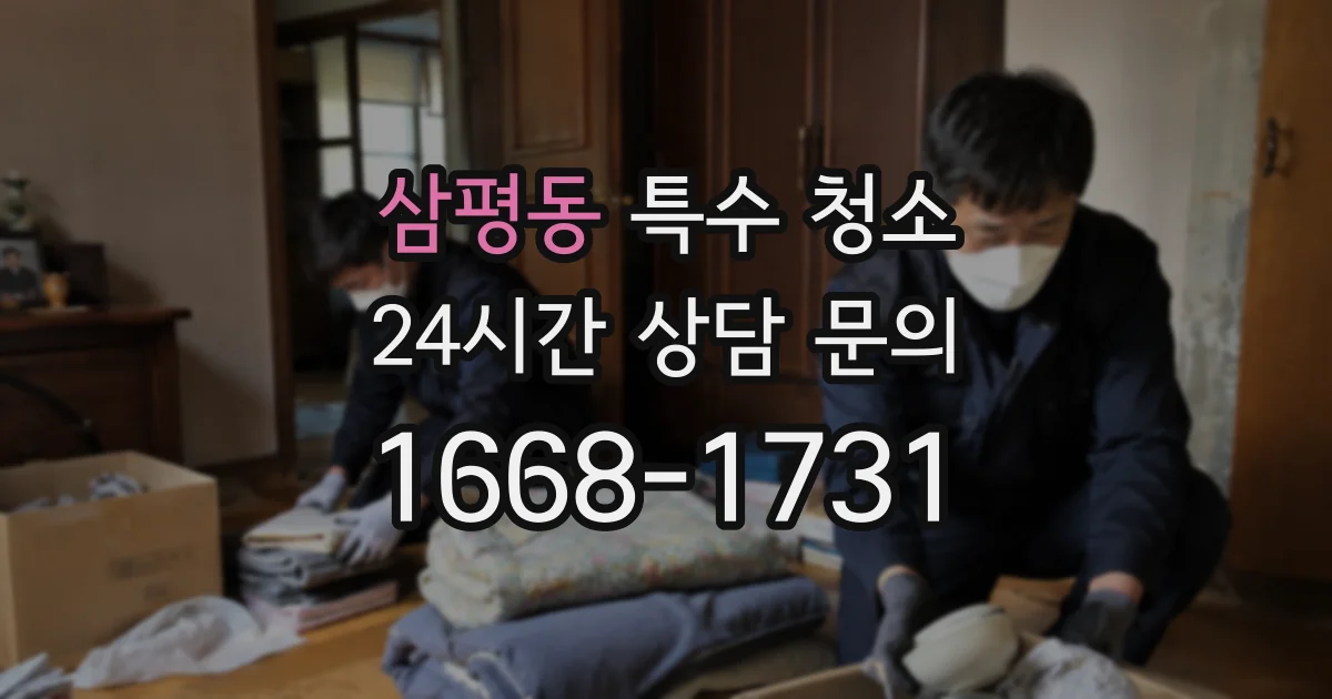 삼평동 특수 청소
