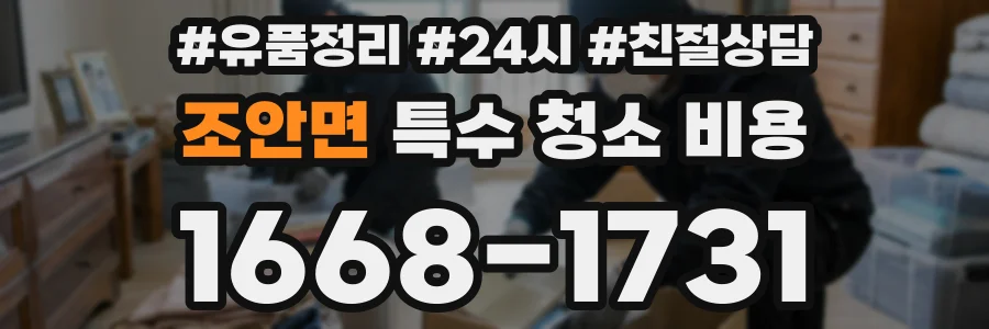 조안면 특수 청소 비용