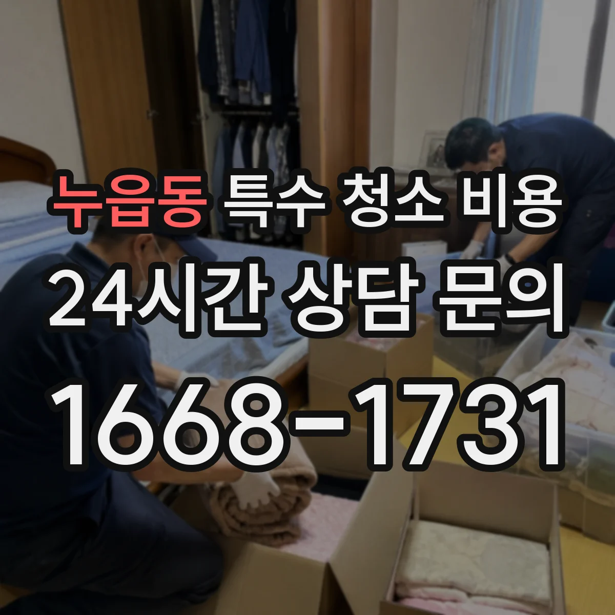 누읍동 특수 청소 비용