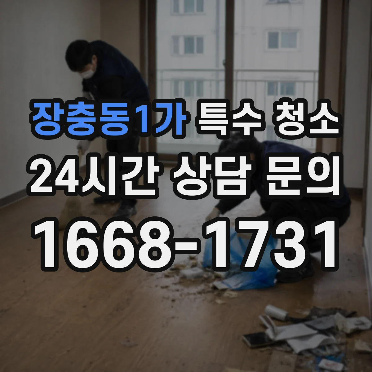 장충동1가 특수 청소