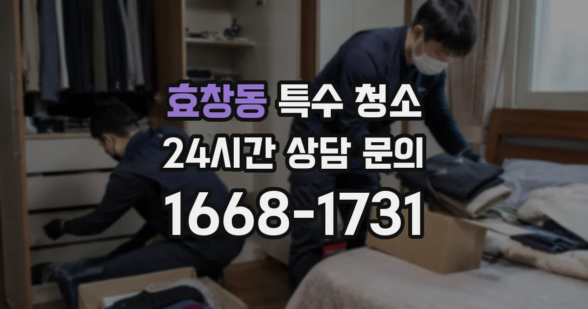효창동 특수 청소
