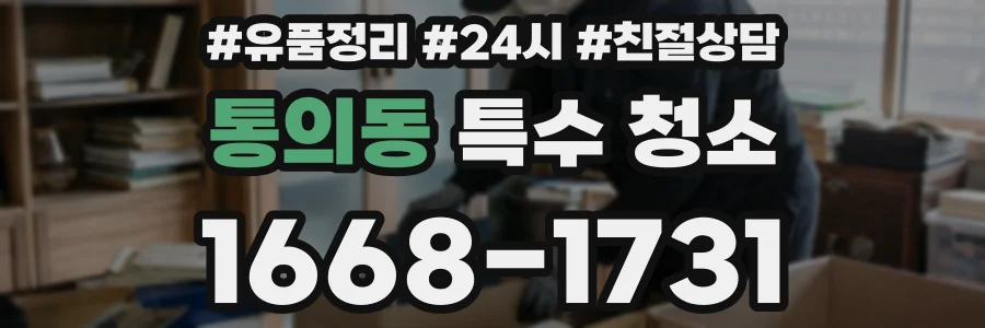 통의동 특수 청소