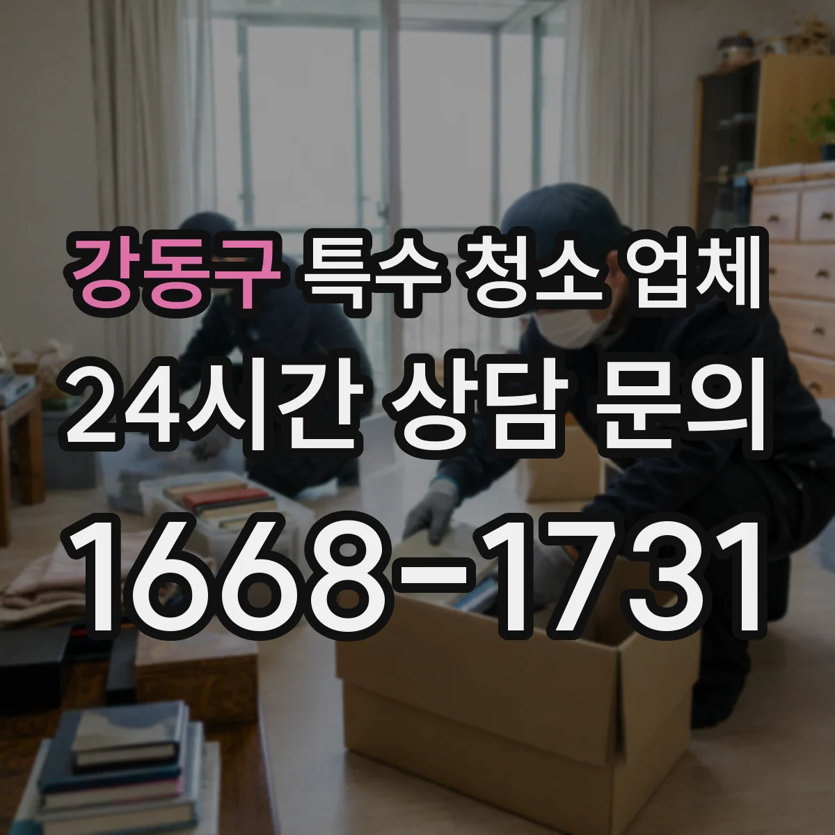 강동구 특수 청소 업체