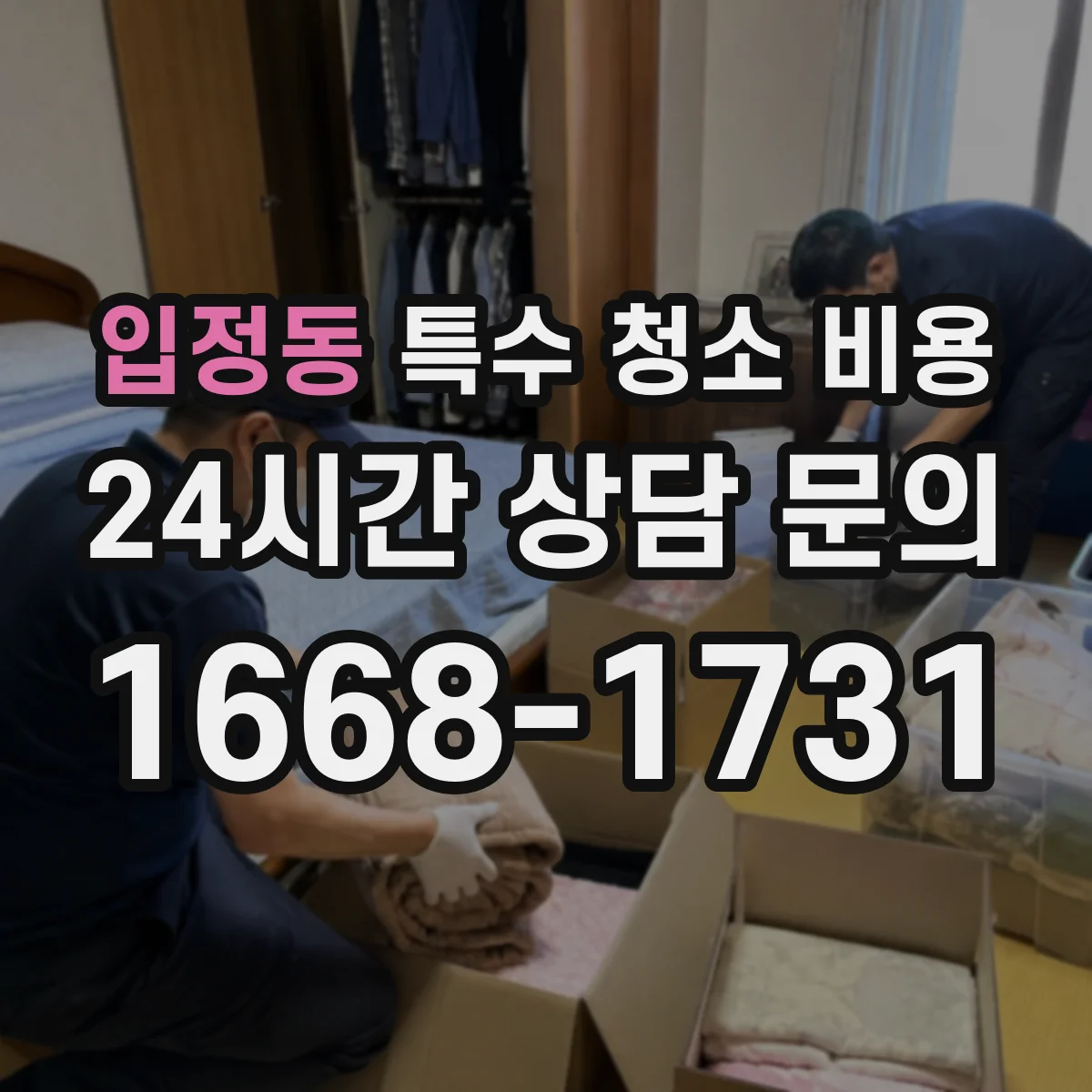 입정동 특수 청소 비용